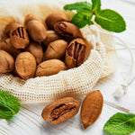 4 Pecan Trees Live Dormant, Cold Hardy Nut Trees for Gardens and Landscapes, 1-2 Feet Height Bareroots