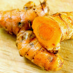 Set 2 Yellow Turmeric Plants Live, Curcuma Turmeric Roots Live Plant, 5 to 7 Inc Starter Plants