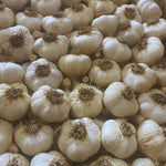 4 XL Softneck Garlic Bulbs for Planting, Garlic Bulbs for Growing in Fall, Large Size