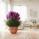 200 Purple Pampas Grass Seeds, Ornamental Grass Seeds for Planting, Perennial Pampas Grasses for Landscaping and Decoration