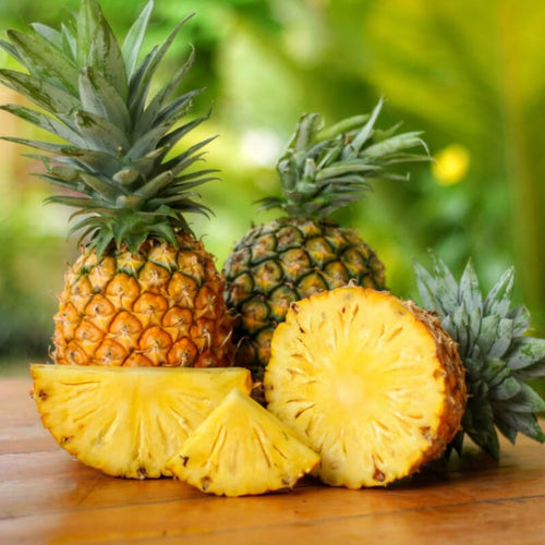 2 Pineapple Plants Live to Grow 5 to 8 Inch Tall, Sweet Pineapple Fruit Tree Live Plant for Outdoor (Gold Pineapple)