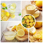 Live Meyer Lemon Tree Plant, Fragrant Citrus Tree, 2-4 Inches Tall in 4 Inch Pot for Growing