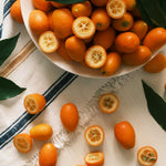 Meiwa Kumquat Tree Live Plant for Planting, Sweet Kumquat Fruit Tree 1 Gallon Pot, Citrus Fruit Plant, Suitable Patio and Garden