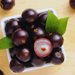 Black Jaboticaba Tree Plant Live, 4 Inc Potted, Jaboticaba Grape Fruit Plant
