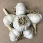 4 XL Softneck Garlic Bulbs for Planting, Garlic Bulbs for Growing in Fall, Large Size