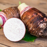 Taro Plant Live, Edible Colocasia Plant, 4-6 Inc Tall, Easycare Tropical Plant for Patio and Landscape
