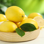 Air-Layered Meyer Lemon Bush Live Plant, Lemon Citrus Fragrant for Outdoor Planting, 1-2 Ft Tall in Gallon Pot