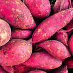 Japanese Red Sweet Potato Slips, Sweet Potato Vine Live Plant - 10 Slips - Non-Gmo Organic - Non-Gmo Organic - Well Rooted - Zone: 10-11- Outdoors - Full Sun