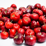 2 Dwarf Barbados Cherry Trees Acerola 8 Inch