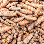 25 Top Size Turmeric Roots for Planting, Fresh Turmeric Rhizomes, Perennial Herb Plants for Garden Growing, Edible Ginger Root for Outdoor or Container Planting