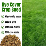 5 Pound Rye Cover Crop Seeds, Cereale Rye Cover Crop Seeds for Garden Beds and Outdoor Growing