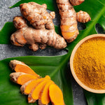 2 Ginger Curcuma Turmeric Plants Live 5-9 Inch Tall, Ginger Plant Live for Planting
