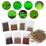 Aquarium Water Grass Seeds, 100 Aquarium Plant Seeds, Water Grass Ground Covering Plant Seed, Grass Seed for Ground Covering