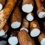 Yuca Cassava Plant Live, 4” Potted Sweet Manihot with Thick Trunk, Outdoor Planting,Yuca Cassava Tree, No CA