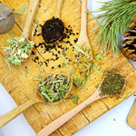 Set 800 Lemongrass Seeds for Indoor or Outdoor Growing, Fragrant Culinary Garden Seeds for Planting