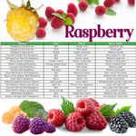 Cold Hardy Raspberry Plants Live for Planting, 6-8 Months Old Raspberry Bushes Live Plant, 5-9" Ready to Plant, Dormant in Winter, Glencoe Variety