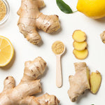 4 Ginger Plants Live, 4 to 6 Inches in Height, Live Ginger Plants, Ginger Live Plants for Garden, Ginger Well Rooted, Ready to Plant
