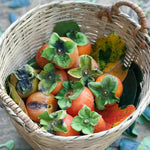 American Persimmon Trees Live Plants, High Yield Variety in Quart Pot Seedlings, 6 to 14 Inc Tall, Cold Hardy