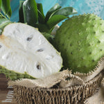 Sweet Soursop Tree Live Plant, Tropical Annona Muricata Sourop Plant Live, 6-10” Tall in Pot