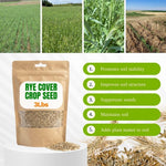 3lb Rye Cover Crop Seeds, Winter Rye Seeds for Garden Ground Cover and Seasonal Growing