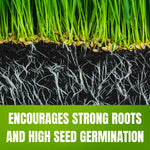Zoysia Empire Grass Seeds, 10000 Seed Count, Zoysia Seeds for Low-Maintenance Lawn and Backyard Landscaping