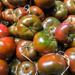 Set 2 Tomato Plants, Dark Purple Tomato Plants Live, 4-6 Inc Tall, Large Fruit Tomatoes for Container, Patio and Garden