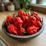 Set 2 Pepper Plants Live for Planting, Hot Chili Pepper Plant, 4-6 Inc Tall, Live Vegetable Plants for Indoor Outdoor Growing