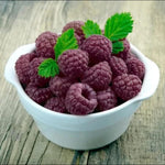 High Yield Raspberry Plants Live for Outdoor Planting, Size 5-9" in Tall, No Pot, Dormant in Winter, Cold Hardy (Glencoe)