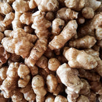 Set of 20 Jerusalem Artichoke Roots, Sunchoke Tubers for Growing, Edible Vegetable for Outdoor Garden