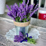 2 Fragrant Lavender Plants Live, Easy Care Decorative Lavender for Indoor Outdoor Gardens, 4-7 Inch Tall