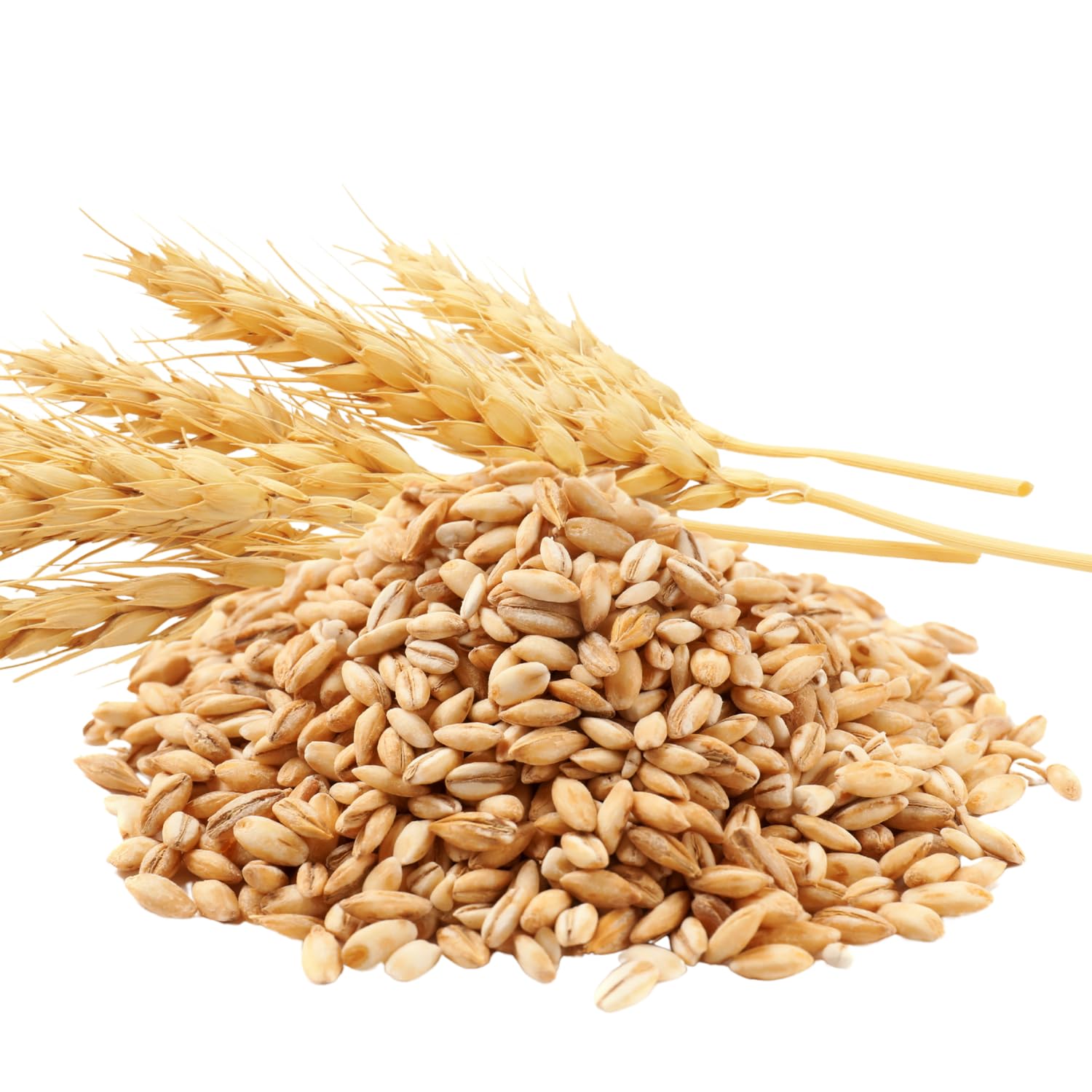 3 Lb Rye Cover Crop Seeds for Planting Lawn, Cover Crop Seeds, Garden Grass Seed, Easy to Plant