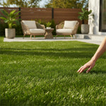 Set 10000 Zoysia Grass Seeds for Lawn, Zoysia Grass Seeds, Lawngrass Seed for Outdoor Gardening