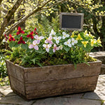 20 Bulbs of Mix Trillium Bulbs, Large Bulbs, Trillium Perennial Flower Bulbs, Trillium Bulb for Planting Indoor Outdoor, Trillium Flower Bulbs