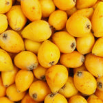 Loquat Tree Live Plant, 5 to 9'' Tall, Live Loquat Plant Tree Pot, Cold Hardy Garden, No Ship to CA