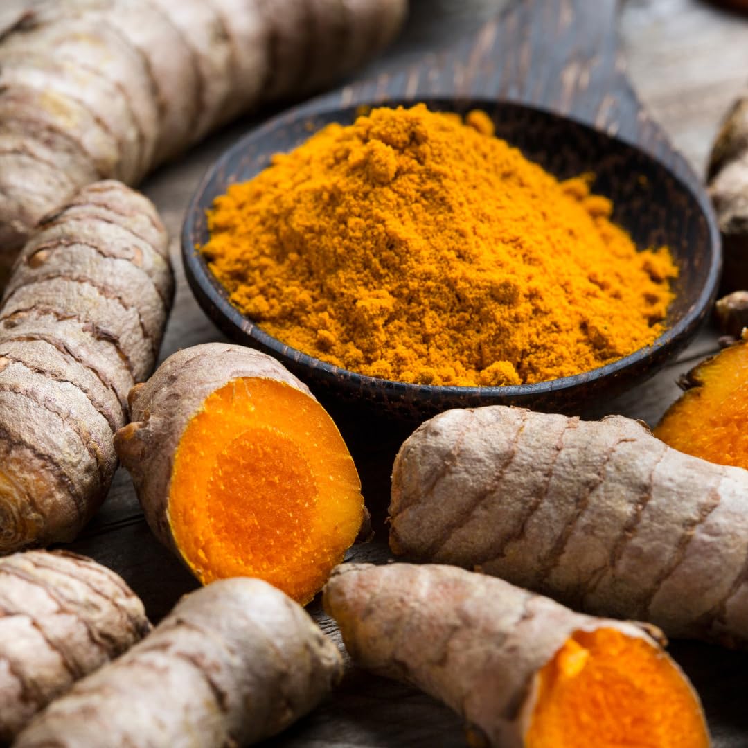 25 Top Size Turmeric Roots for Planting, Fresh Turmeric Rhizomes, Perennial Herb Plants for Garden Growing, Edible Ginger Root for Outdoor or Container Planting