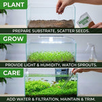 300 Aquarium Water Grass Seeds - Water Grass Ground Covering Seeds Plants for Landscaping and Aquarium Decoration