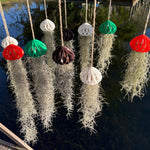 Fresh Air Plant Live Spanish Moss Houseplants Clump 10" Long to Grow, Tillandsia Air Purifying Plants Indoor for Hanging Décor