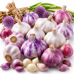 1 Pound Garlic for Planting in Fall Hardneck Softneck, 8-10 Top Size Garlic Bulbs for Planting, Fresh and High Yield Bulb Variety Pack, Hardy and Fast Growing (Random Mix)