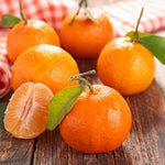 Live Clementine Mandarin Citrus Tree, Tangerine Sweet Fruit Plant in Gallon Pot, Citrus Tree for Outdoor Patio or Backyard Growing