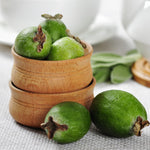 Guava Tree Live Plant, 5 to 7 Inc Tall, Pineapple Guava Plant Live for Planting, Zone 9 to 11