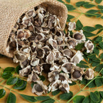 Pack of 50 Moringa Seeds, Moringa Oleifera Drumstick Tree Seeds for Growing, Vegetable Garden Seeds for Growing