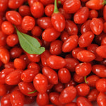 2 Goji Berry Plants 4–6" Tall, Live Fruiting Shrub for Patio, Containers and Backyard Gardening, Hardy Outdoor Plant