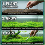 Aquarium Water Grass Seeds, 100 Aquarium Plant Seeds, Water Grass Ground Covering Plant Seed, Grass Seed for Ground Covering