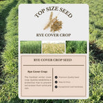 Rye Grass Seeds 2 lb Bag, Rye Seeds for Planting, Quick Growing Rye Cover Crop for Lawns, Gardens