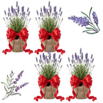 Pack 4 Creek Live Lavender Plants for Outside, Blue Purple Lavender Plants No Pot, 5-7" Tall Gardening Indoor Outdoor Spring Planting