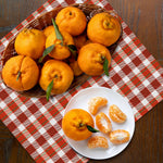 Mandarin Orange Tree, Sweet Mandarin Plants Live, 1.5 Years Old Plant, Well Rooted in 1 Gallon Pot, 1-2 Feet Tall, Citrus Fruit Tree for Patio and Outdoor Garden