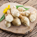 Set of 20 Jerusalem Artichoke Roots, Sunchoke Tubers for Growing, Edible Vegetable for Outdoor Garden
