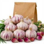 4 XL Size Chesnok Red Garlic Bulbs for Planting Outdoors, Heirloom 0.5 Pound, 4-5 Jumbo Bulbs Garlic for Fall Planting