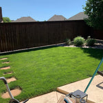 Set 10000 Zoysia Grass Seeds for Lawn, Zoysia Grass Seeds, Lawngrass Seed for Outdoor Gardening