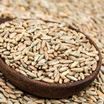5 Pound Rye Cover Crop Seeds, Fast-Growing Rye Grass Seed for Lawn, Outdoor Planting